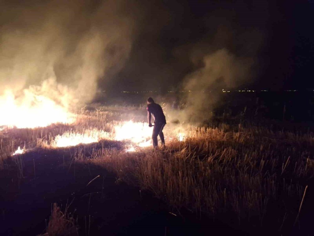 Muş’ta yaşanan anız yangını korkuttu