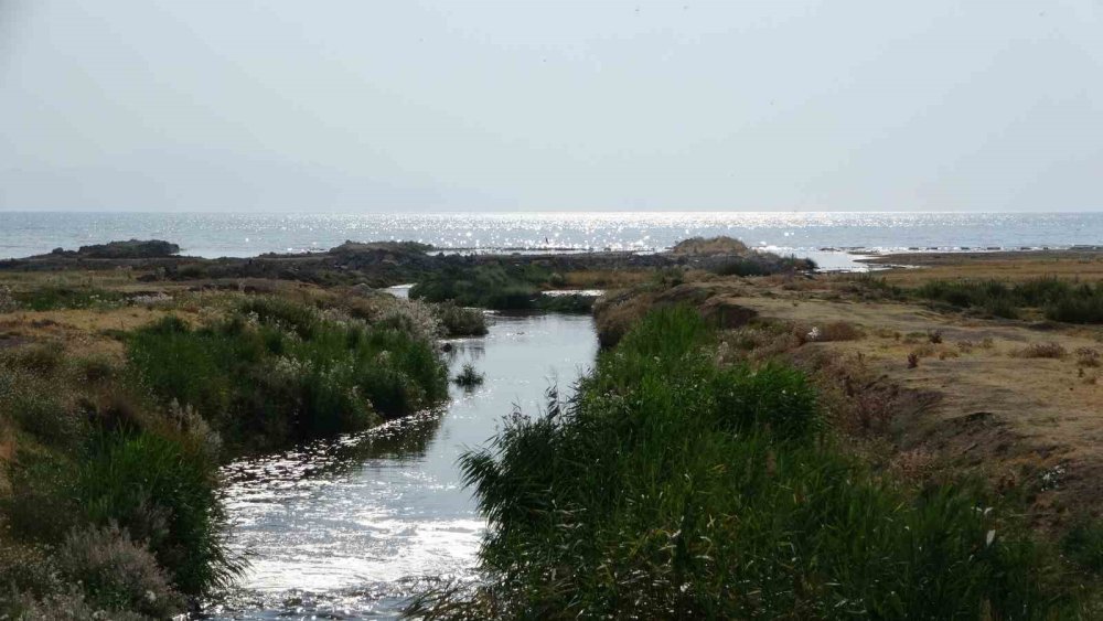 Van Gölü’nde yaşanan kirlilik uydu görüntülerine yansıdı