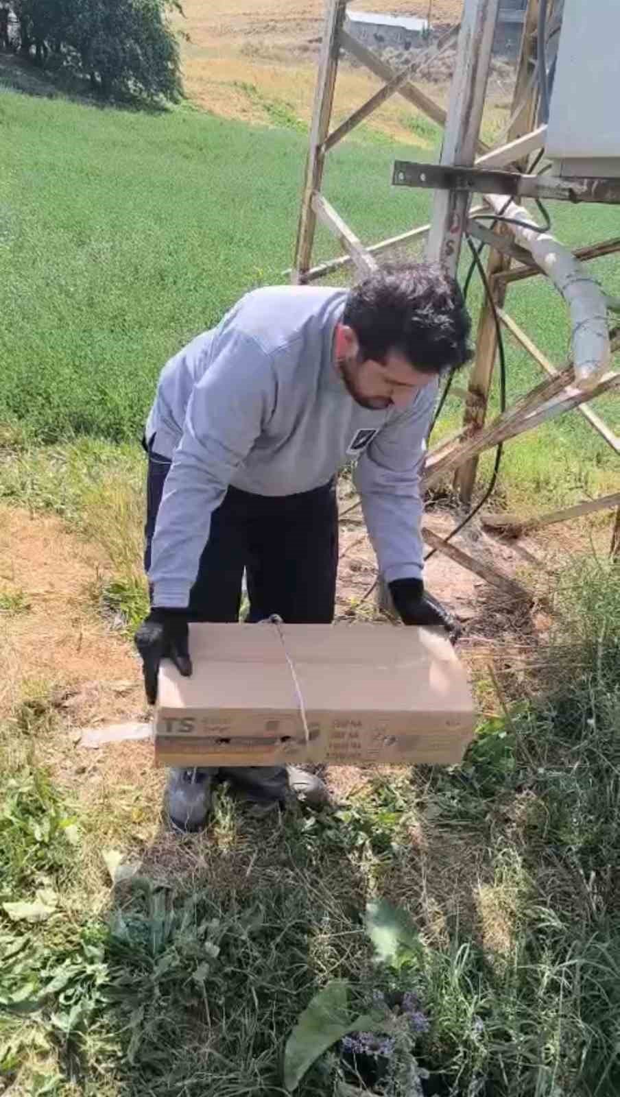 Yaralı baykuş ekipler tarafından kurtarıldı