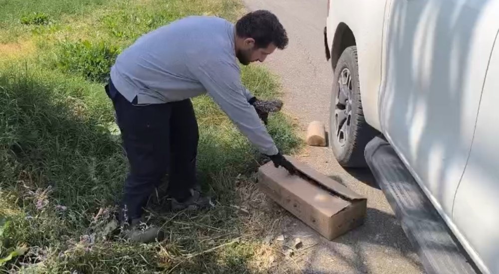 Yaralı baykuş ekipler tarafından kurtarıldı