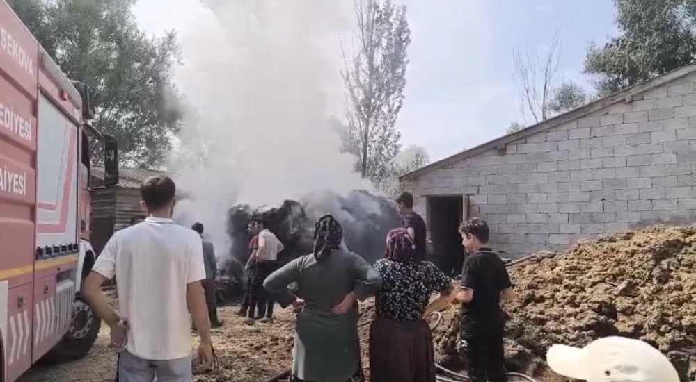 Zizan'da ot yangını: Bin bağ ot küle döndü