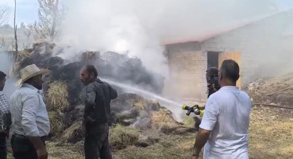 Zizan'da ot yangını: Bin bağ ot küle döndü