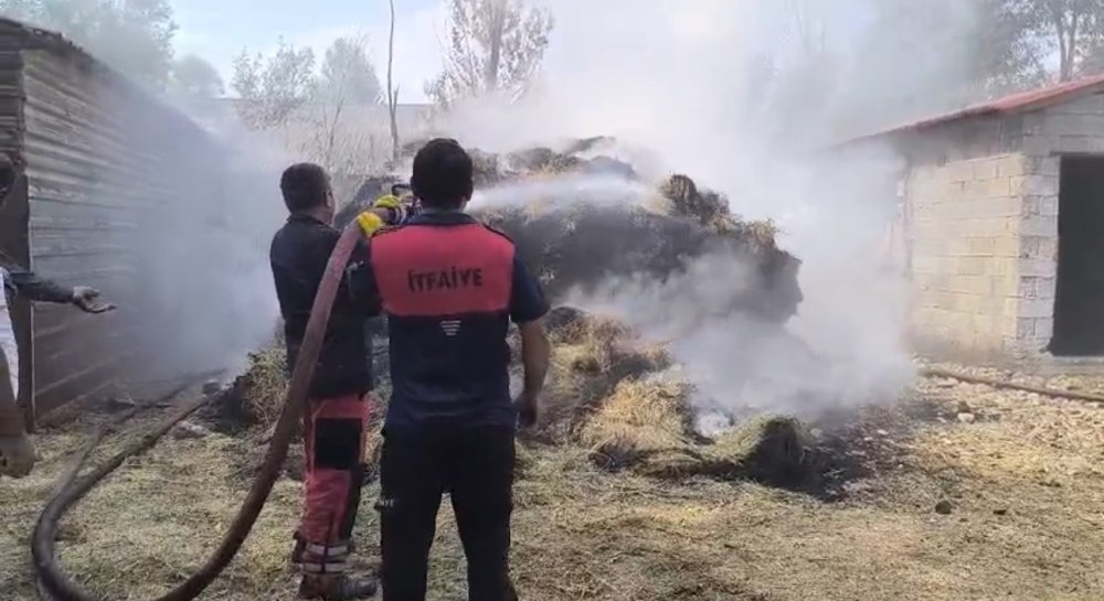 Zizan'da ot yangını: Bin bağ ot küle döndü