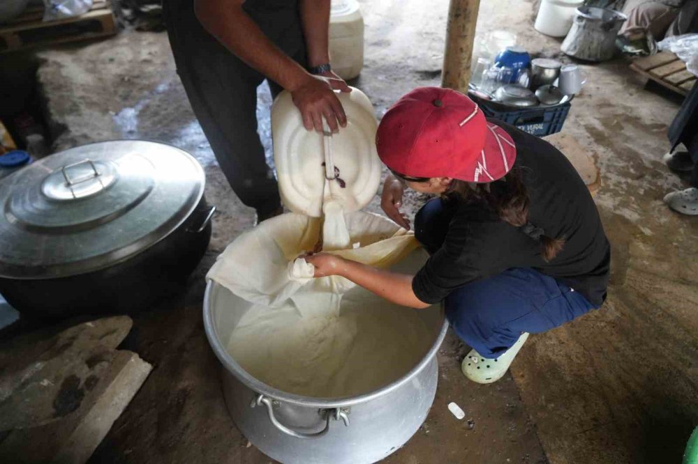 Muş’ta yaylacılar dönüş hazırlığında