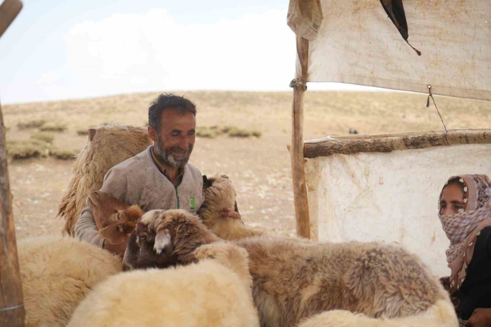 Muş’ta yaylacılar dönüş hazırlığında