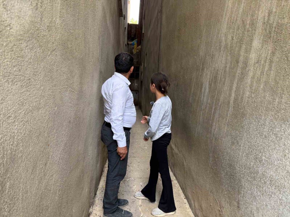 Pencerelerine yuva yapan kumruya gözleri gibi bakıyorlar