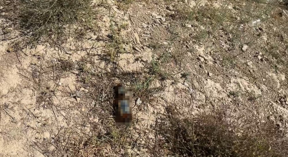 Yüksekova’da mezarlık yanına bırakılan bira şişeleri tepki topladı