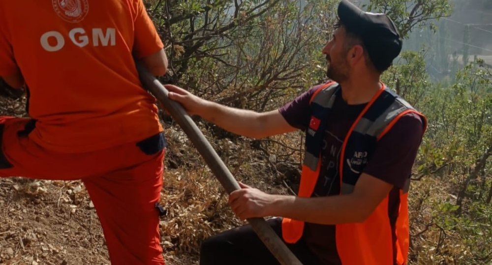 Şemdinli'de orman yangını