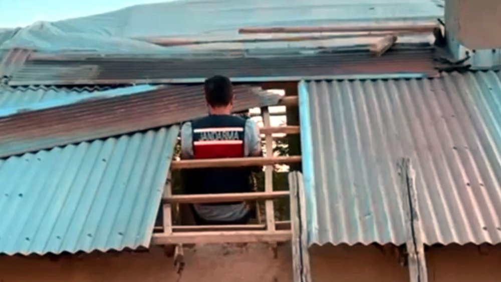 Evin çatısını kenevir tarlasına dönüştürmüş