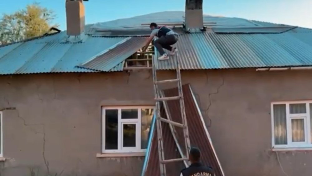 Evin çatısını kenevir tarlasına dönüştürmüş