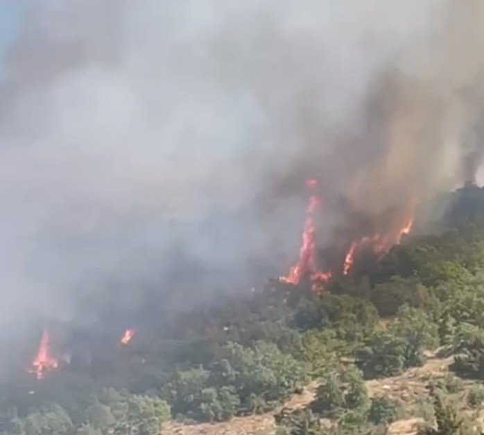 Malatya’da orman yangını