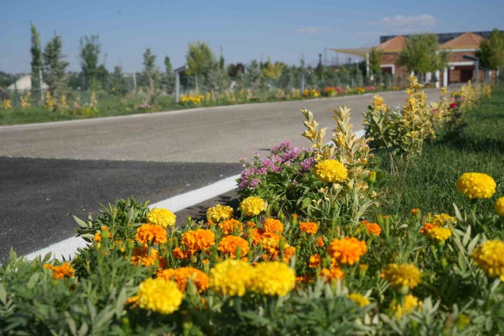 Malazgirt’te 1071 çiçek dikildi