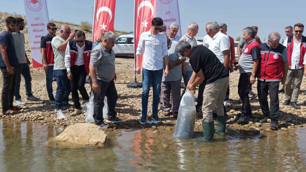 Adıyaman’da 1 milyonun üzerinde yavru sazan doğaya bırakıldı
