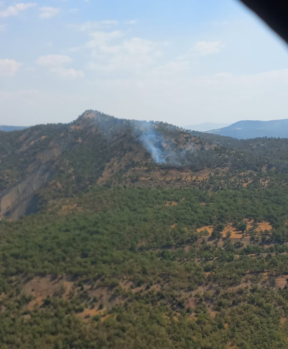 Bestler Dereler'de orman yangını: Ekipler seferber oldu