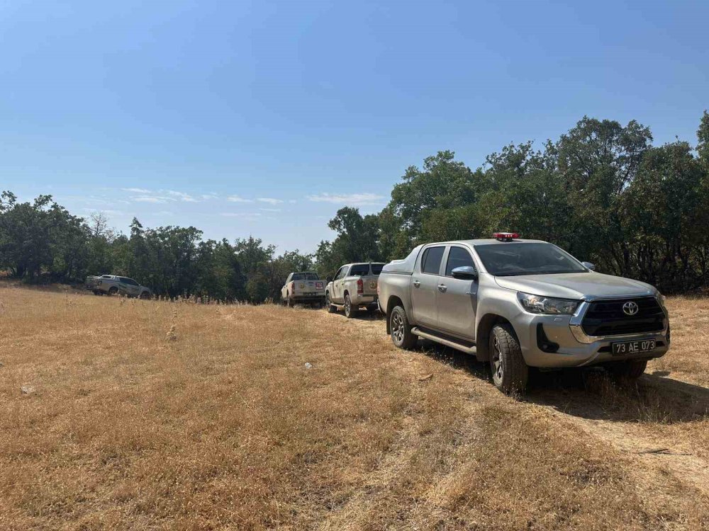 Bestler Dereler'de orman yangını: Ekipler seferber oldu