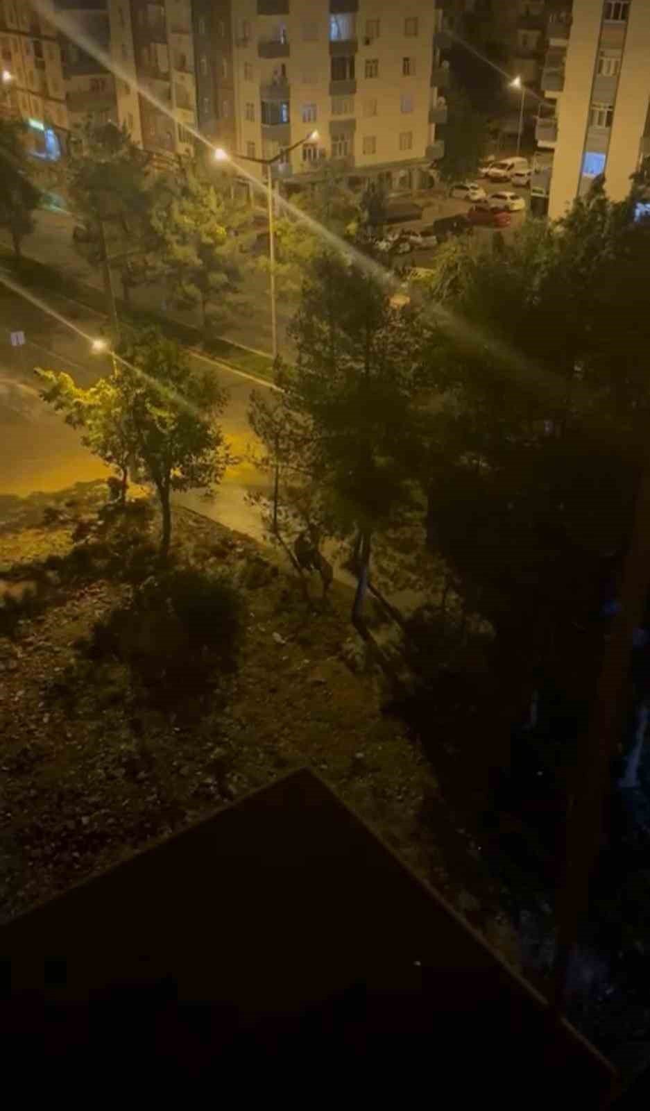 Husumetlilerin kavgasında kan aktı, olayla ilgisi olmayan bir kişi hayatını kaybetti