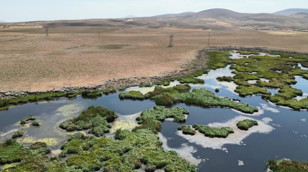 Kars’ta kuraklığın vurduğu Çalı Gölü’nü kuşlar terk etti