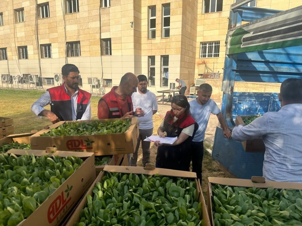 TAKE Projesi kapsamında üreticilere fide ve tohum desteği