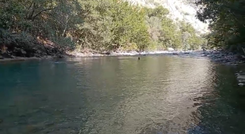 Avaşin'de kaybolan Kom'u arama çalışmaları devam ediyor