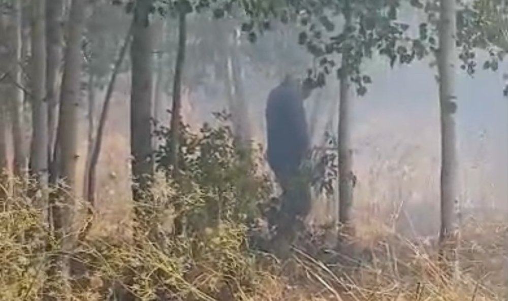 İran sınırında yangın: Vatandaşlar müdahale etti