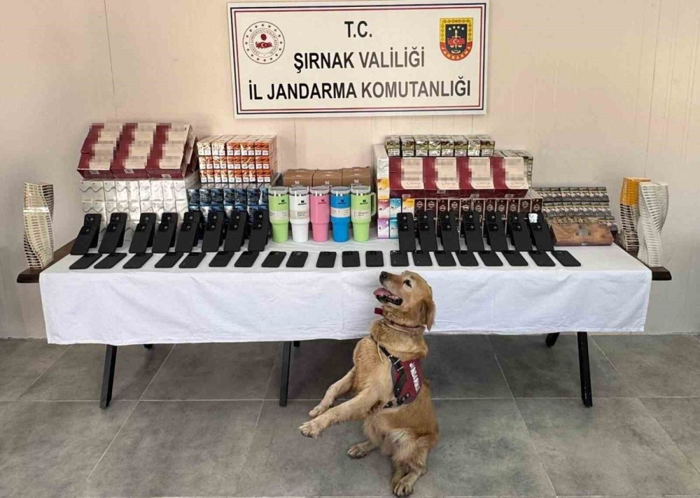 Şırnak’ta 12 milyon TL'lik kaçak malzeme ele geçirildi