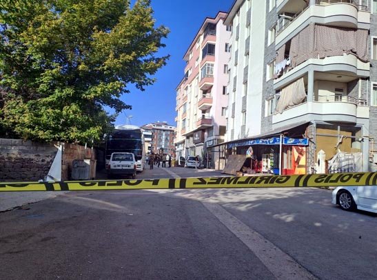 Van'da 2 kardeşin öldürülmesine ilişkin 7 gözaltı