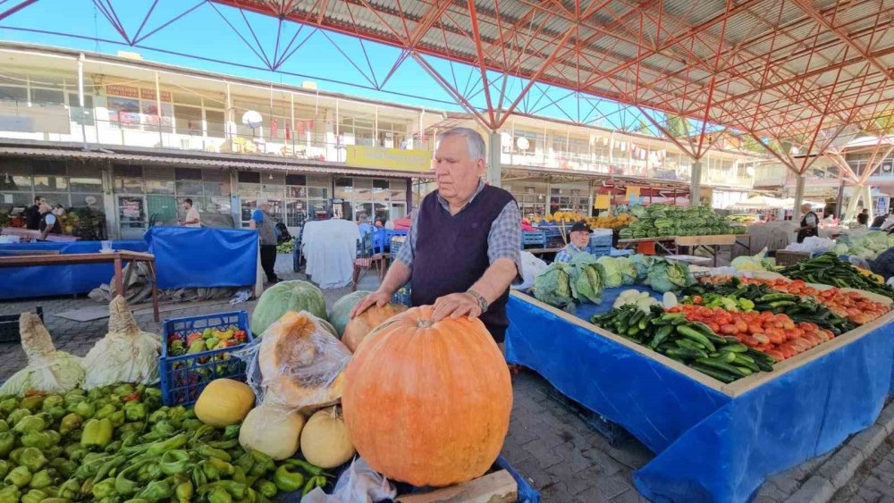 Darende’nin bal kabağı üreticinin yüzünü güldürüyor