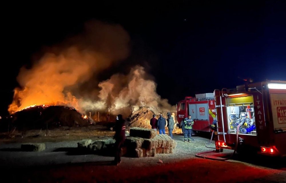 Tekman’da yangın; 2 bin 500 bağ ot kül oldu