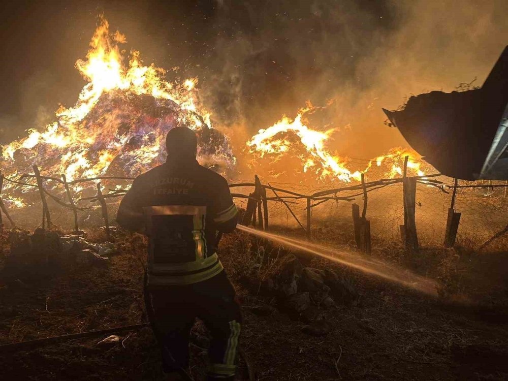 Tekman’da yangın; 2 bin 500 bağ ot kül oldu