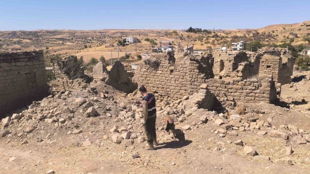 Kurtalan'da kayıp Alzheimer hastası 9 gündür aranıyor