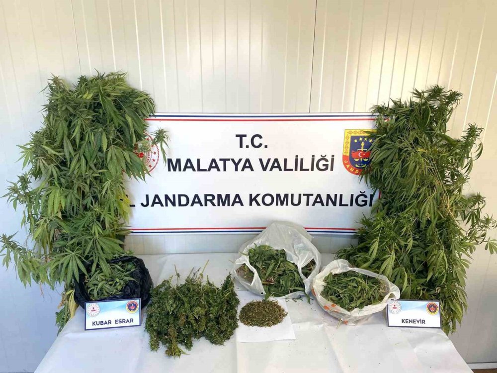 Malatya’da kaçakçılık ve uyuşturucu operasyonu: 1 tutuklama