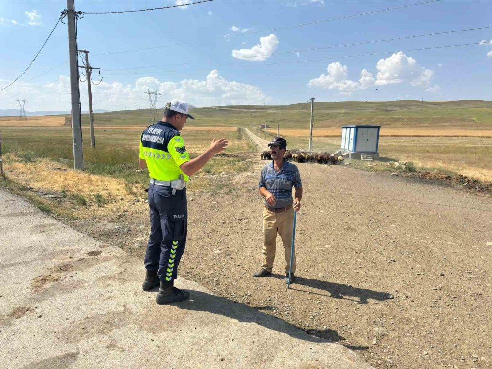 Muş-Bingöl yolunda ‘Güvenli Hayvan Geçişleri Projesi’ uygulandı