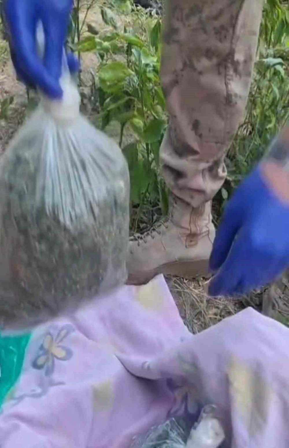 Sason'da uyuşturucu operasyonu: 1 tutuklama