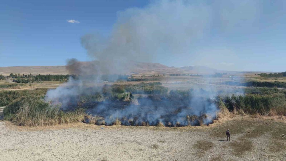 Van'da göçmen kuşların yuvası alevlere teslim oldu