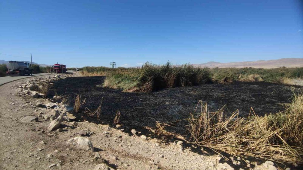 Van'da göçmen kuşların yuvası alevlere teslim oldu