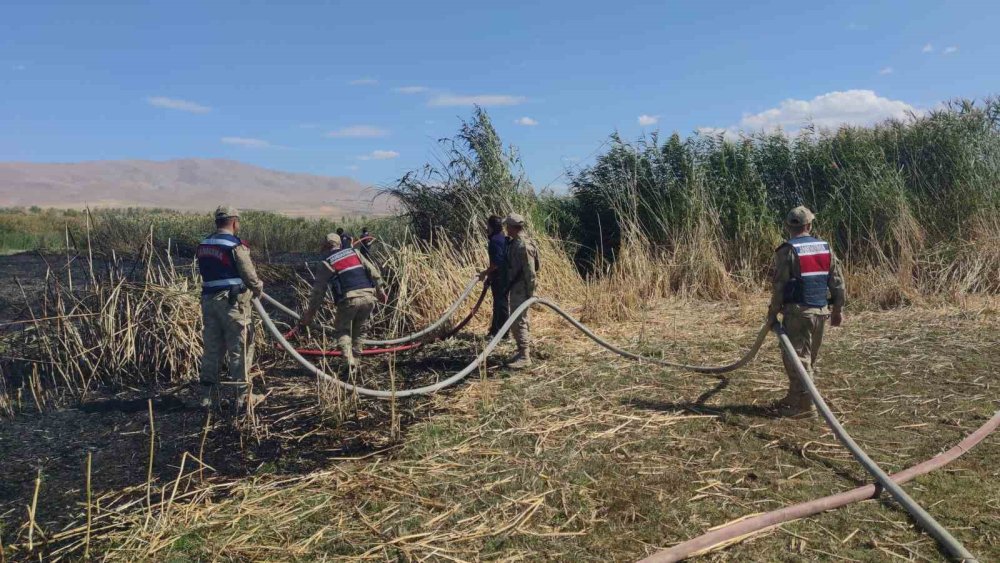 Van'da göçmen kuşların yuvası alevlere teslim oldu