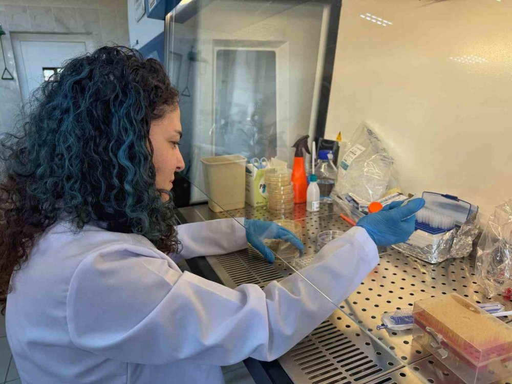 Diyabet yaralarına çözüm olacak proje