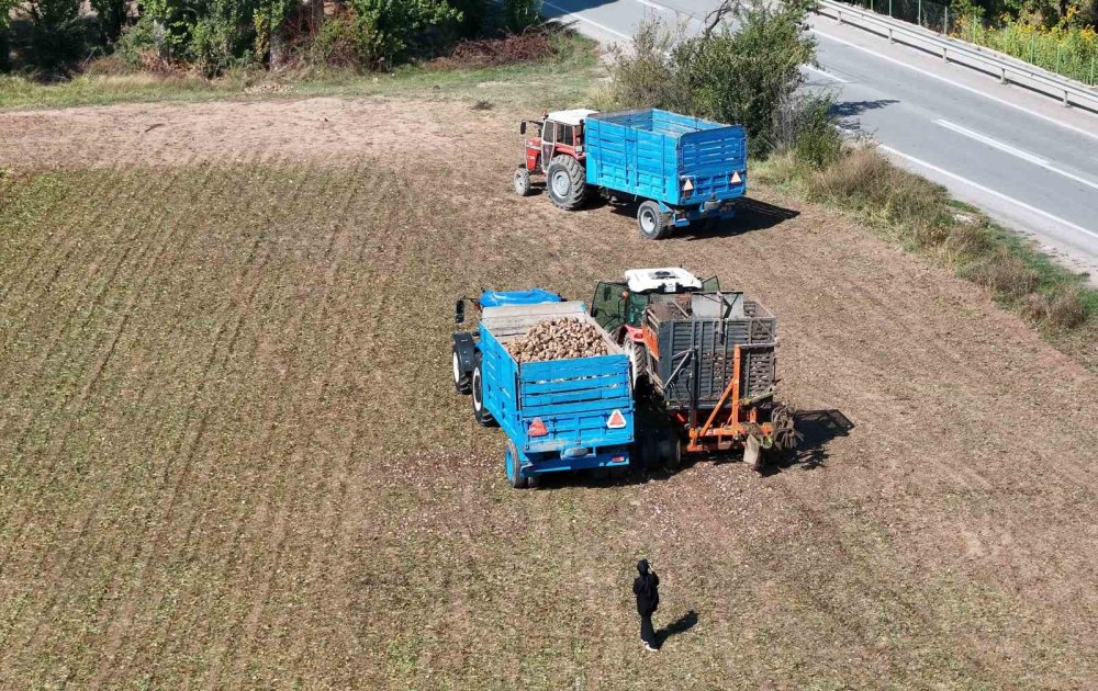 Erzincan’da pancar hasadı başladı