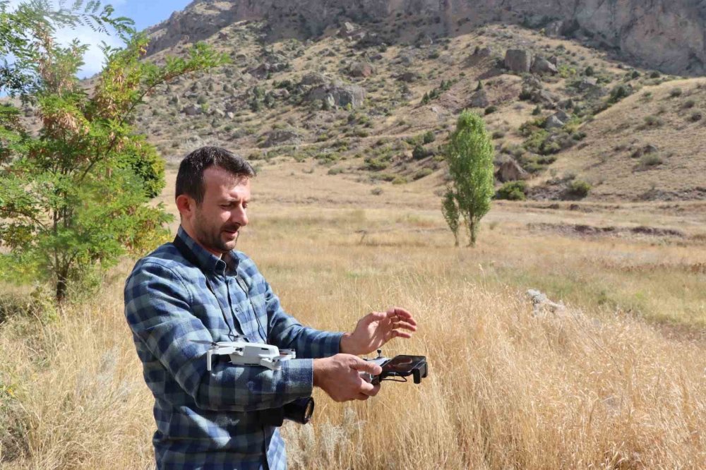 Boz ayı drona yakalandı