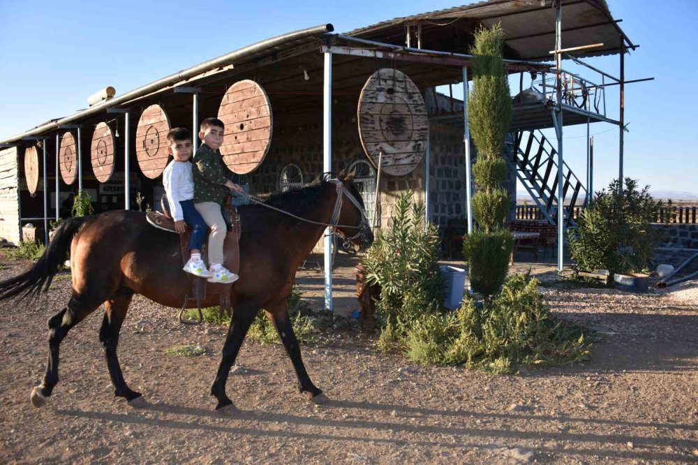 Siverek'teki bu tesiste para geçmiyor