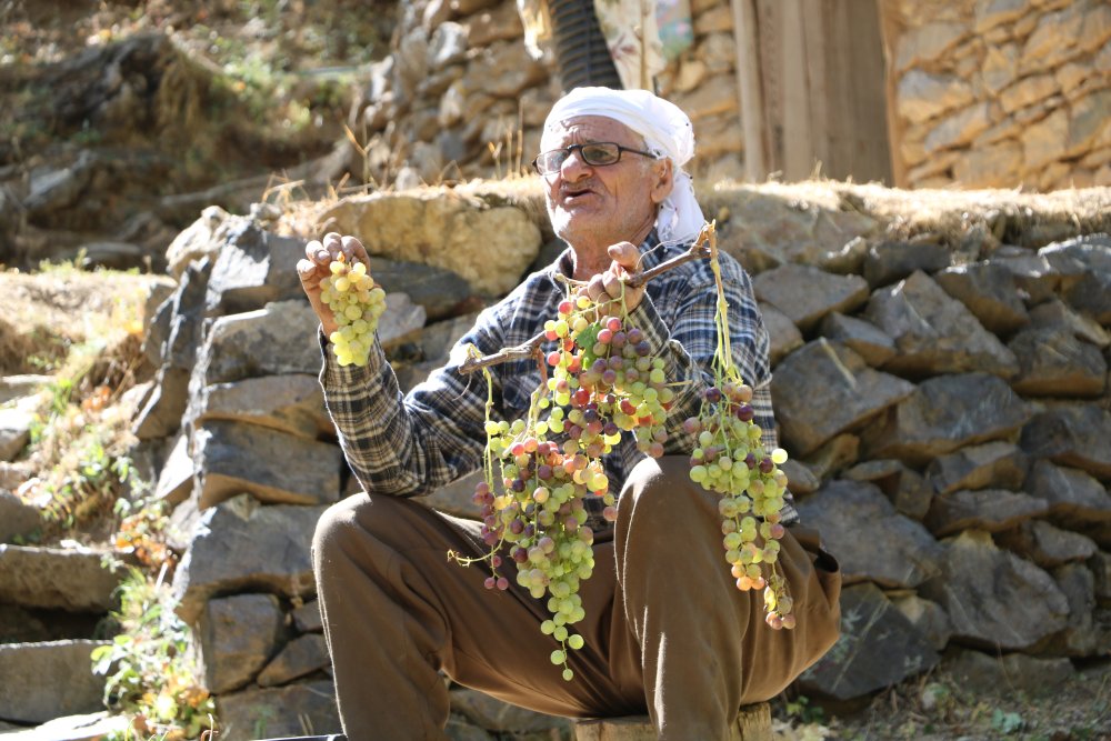 80 yaşında, her yıl tonlarca üzümü kızakla köyüne taşıyor