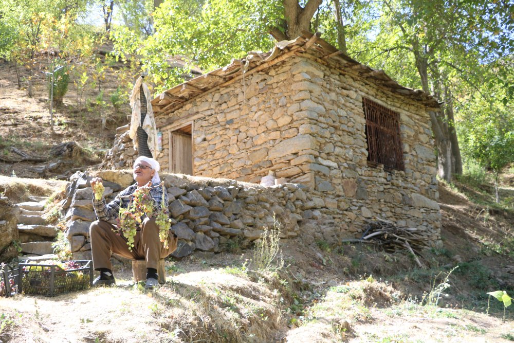 80 yaşında, her yıl tonlarca üzümü kızakla köyüne taşıyor