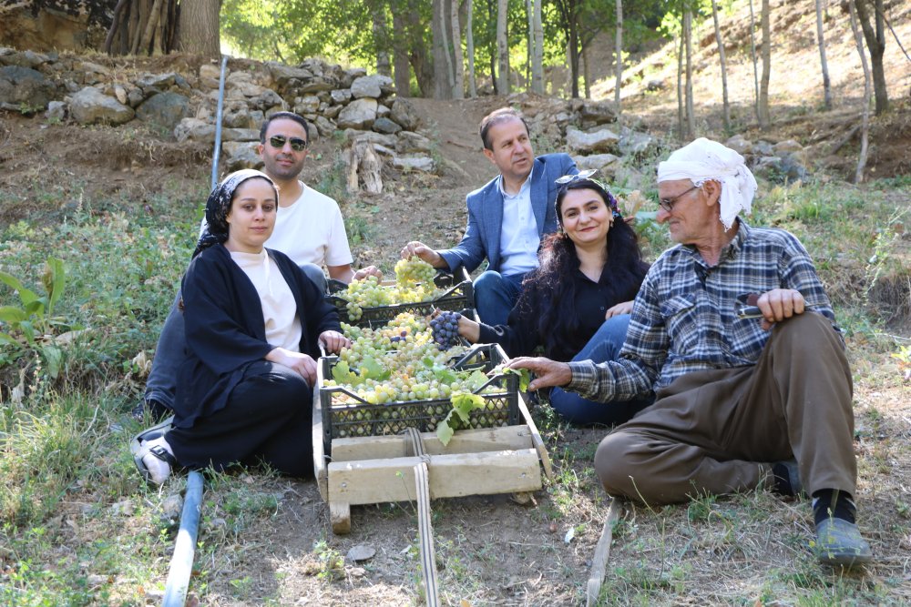 80 yaşında, her yıl tonlarca üzümü kızakla köyüne taşıyor