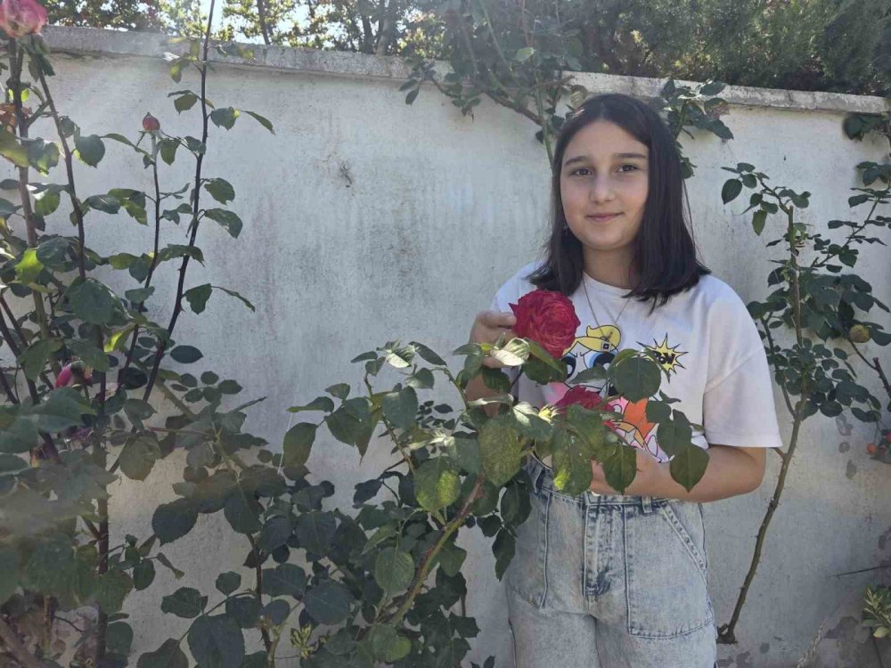 Van’da görevli doktor tropik meyve yetiştirdi