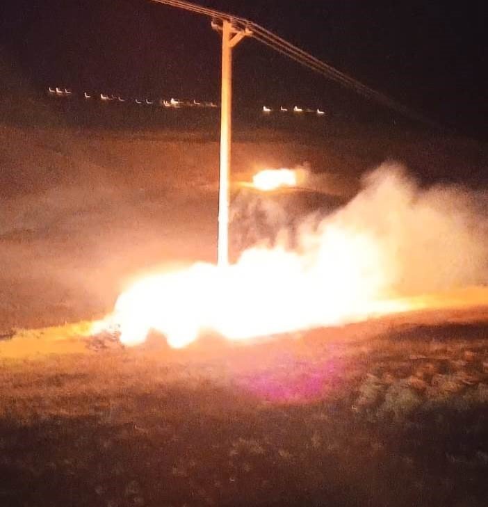 Gürpınar'da 800 bağ ot yanarak kül oldu