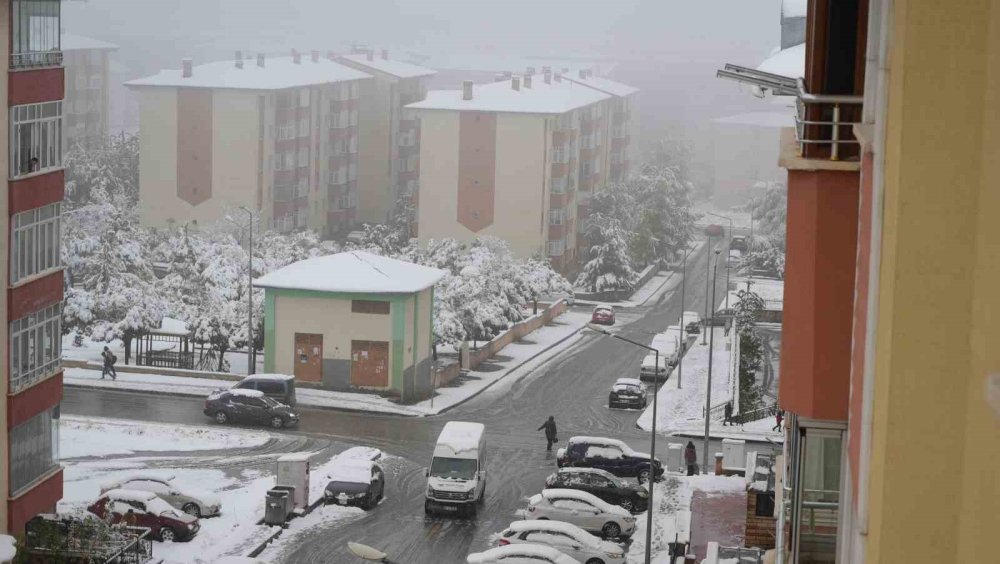 Erzurum güne kar ile uyandı