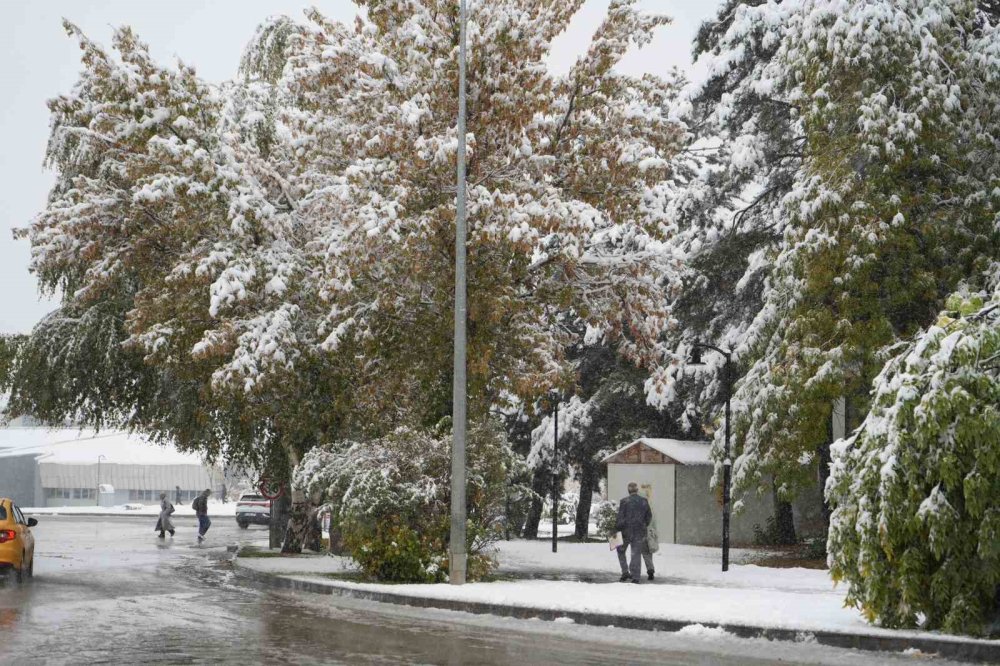 Erzurum güne kar ile uyandı