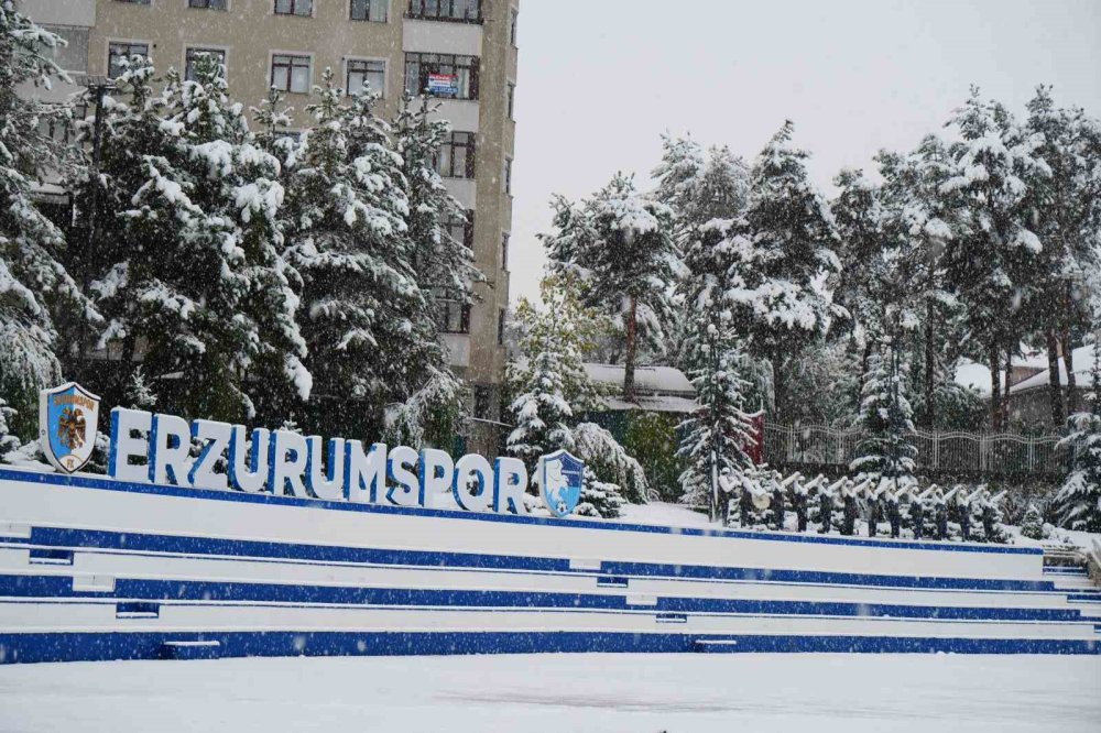 Erzurum güne kar ile uyandı