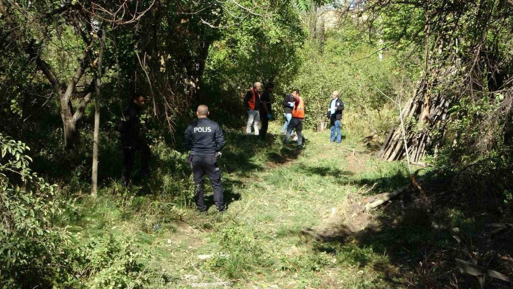 Kontrolden çıkan otomobil bahçeye uçtu: 1 ağır yaralı