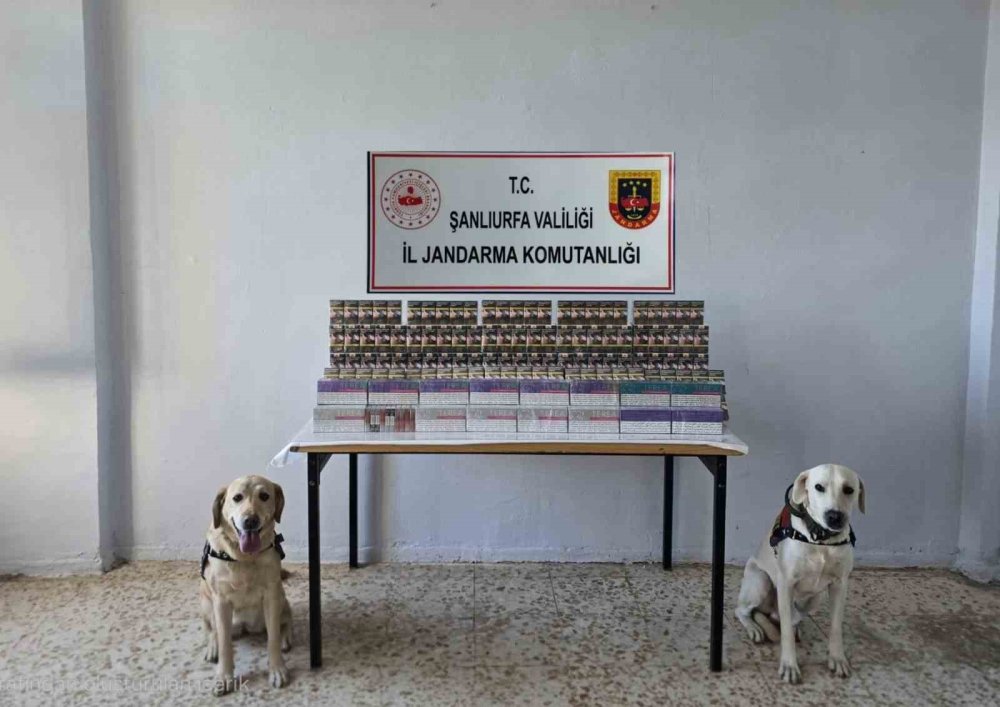Urfa’da 7 bin 940 paket kaçak sigara ele geçirildi